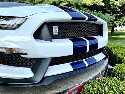 2015 Ford Mustang GT350  50th Anniversary Edition - Photo 33 - Springfield, MO 65802