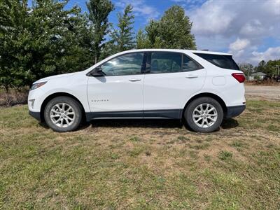 2018 Chevrolet Equinox LS   - Photo 1 - Rushville, IN 46173