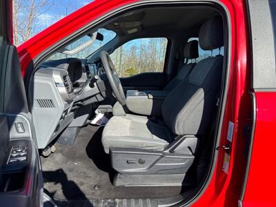 2023 Ford F-150 XLT   - Photo 10 - Rushville, IN 46173