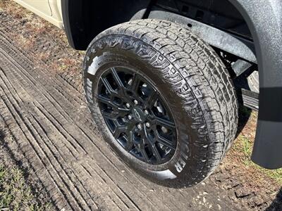 2024 Chevrolet Colorado Trail Boss   - Photo 10 - Rushville, IN 46173