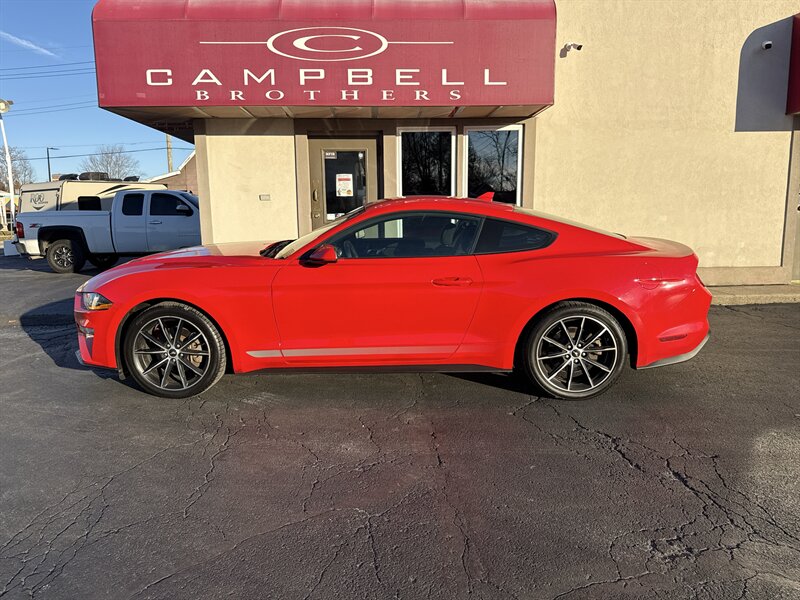 2022 Ford Mustang Base's photo