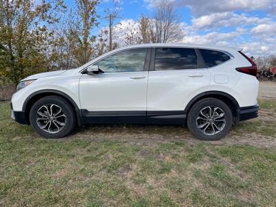 2021 Honda CR-V EX   - Photo 1 - Rushville, IN 46173