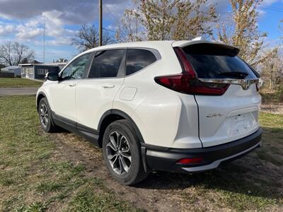 2021 Honda CR-V EX   - Photo 8 - Rushville, IN 46173