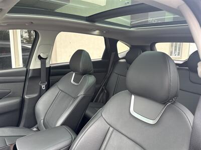 2025 Hyundai TUCSON Limited   - Photo 9 - Rushville, IN 46173