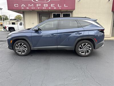 2025 Hyundai TUCSON Limited   - Photo 1 - Rushville, IN 46173
