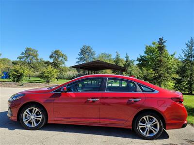 2019 Hyundai Sonata Limited   - Photo 8 - Elgin, IL 60120