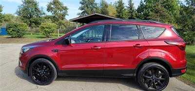 2019 Ford Escape SE   - Photo 7 - Elgin, IL 60120