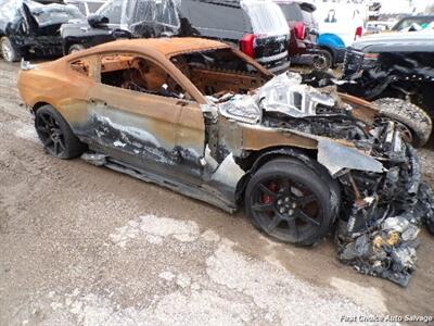 2018 Ford Mustang Shelby GT350   - Photo 5 - Woodbridge, ON L4L 8L6