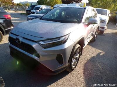 2023 Toyota RAV4 XLE   - Photo 1 - Woodbridge, ON L4L 8L6