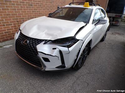 2025 Lexus UX 300h  