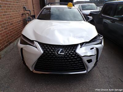 2025 Lexus UX 300h  