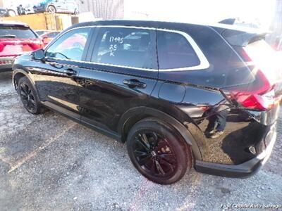 2025 Honda CR-V Hybrid   - Photo 6 - Woodbridge, ON L4L 8L6