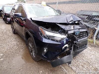 2024 Toyota RAV4 Hybrid XLE   - Photo 2 - Woodbridge, ON L4L 8L6