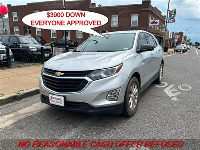 2019 Chevrolet Equinox LS   - Photo 1 - St. Louis, MO 63116