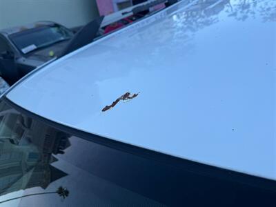 2006 Ford Freestyle SE   - Photo 69 - Los Angeles, CA 91306