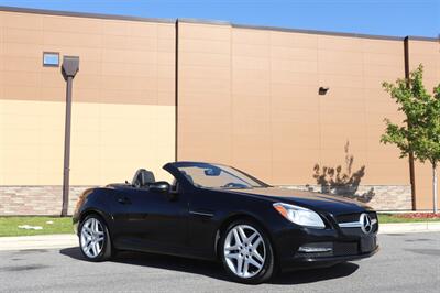 2013 Mercedes-Benz SLK SLK 250   - Photo 10 - Jacksonville, FL 32211