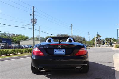 2013 Mercedes-Benz SLK SLK 250   - Photo 7 - Jacksonville, FL 32211