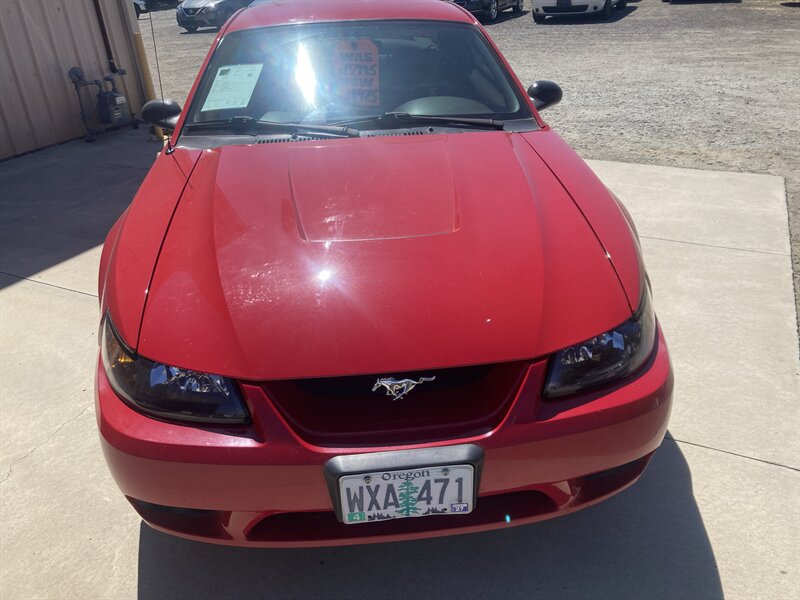 1999 Ford Mustang SVT Cobra - Photo 4 - Central Point, OR 97502