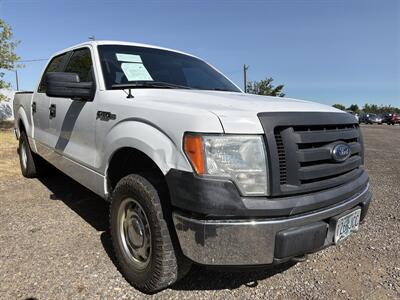 2010 Ford F-150 XL Truck