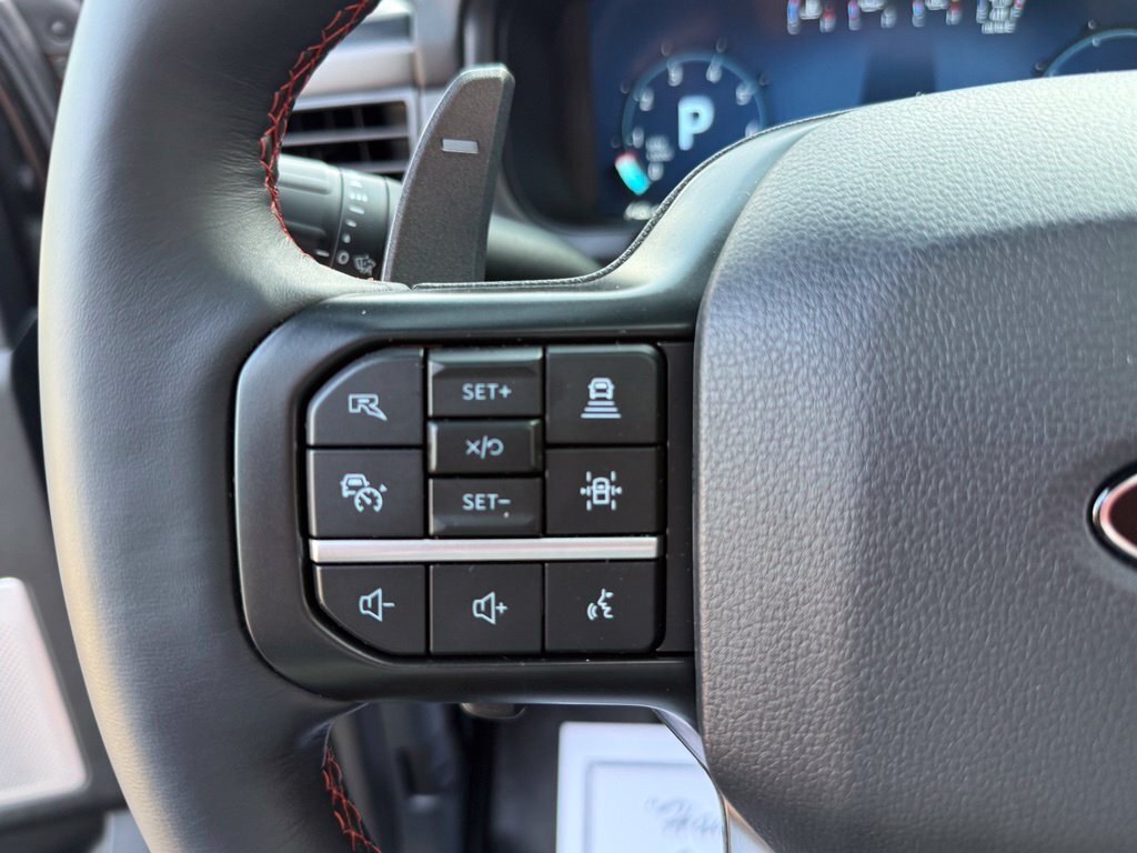 2025 Ford F-150 Raptor - Photo 28 - Martin, TN 38237