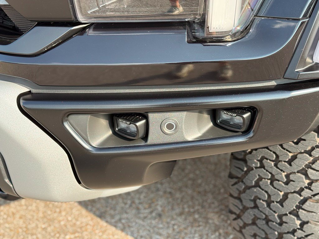 2025 Ford F-150 Raptor - Photo 20 - Martin, TN 38237