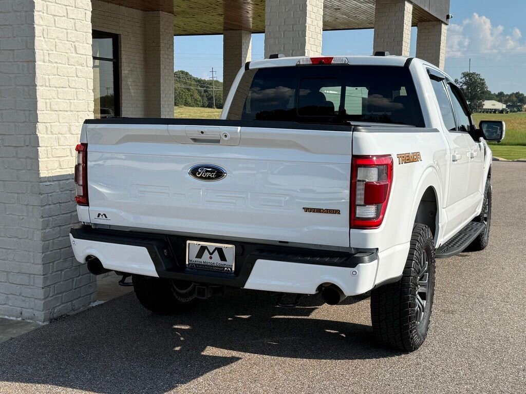 2021 Ford F-150 Tremor - Photo 8 - Martin, TN 38237