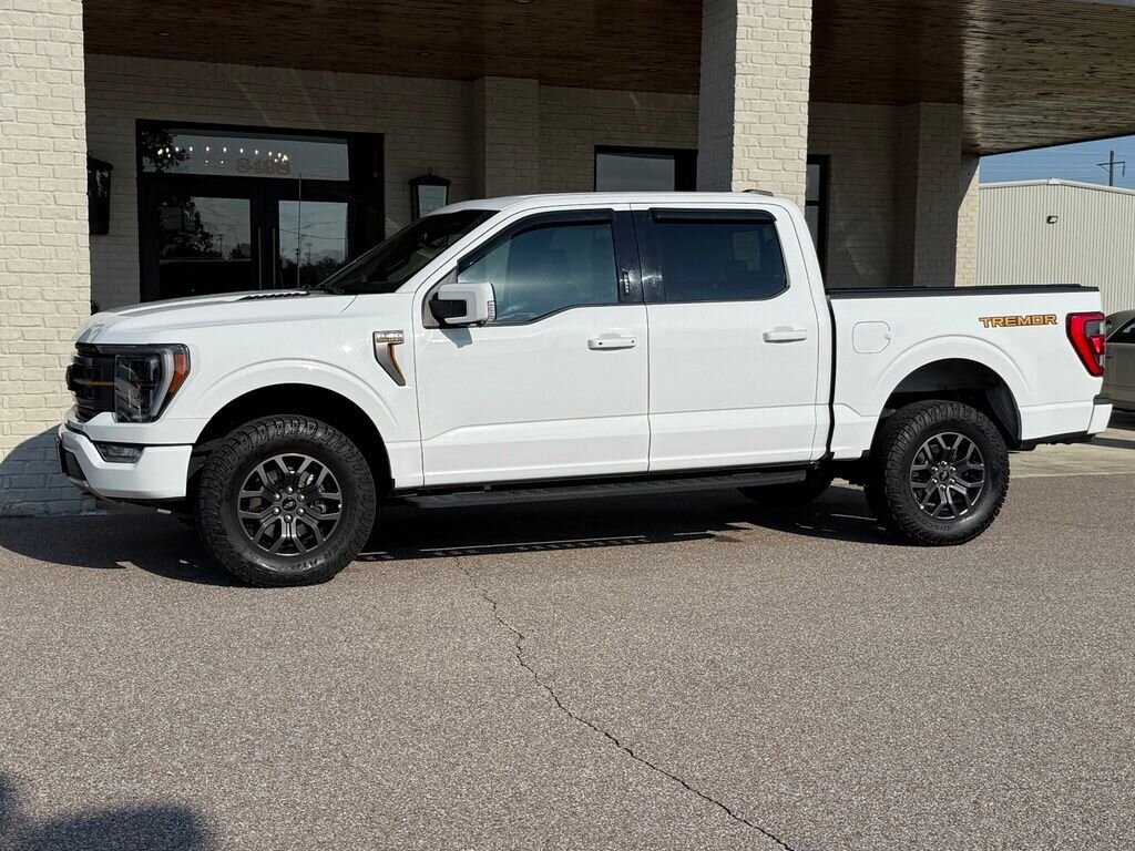 2021 Ford F-150 Tremor - Photo 16 - Martin, TN 38237