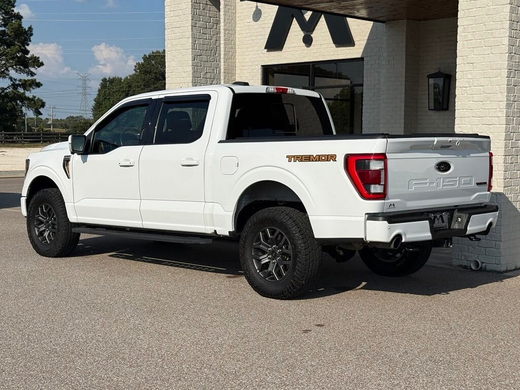2021 Ford F-150 Tremor - Photo 12 - Martin, TN 38237
