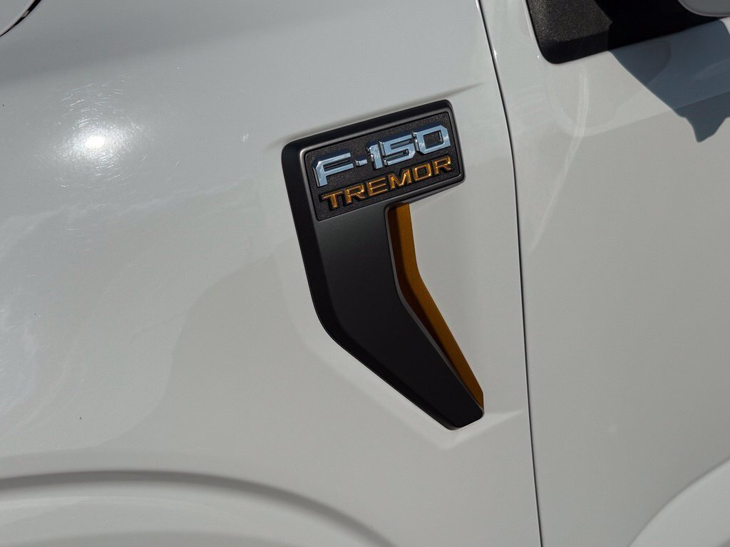2021 Ford F-150 Tremor - Photo 21 - Martin, TN 38237