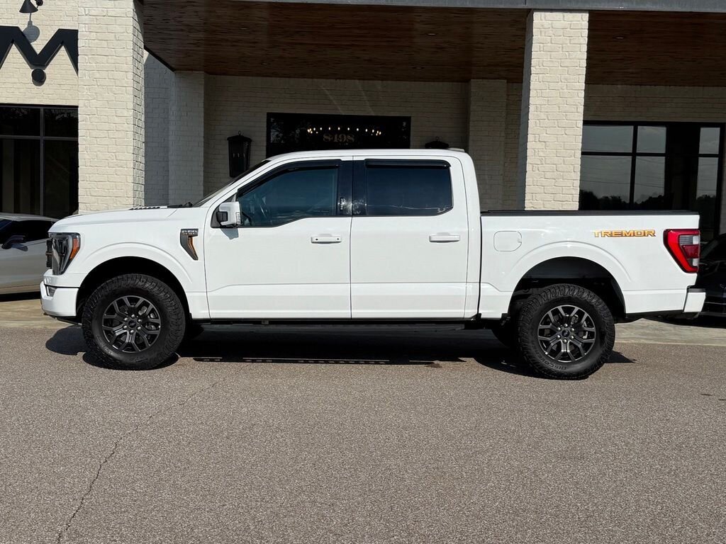 2021 Ford F-150 Tremor - Photo 15 - Martin, TN 38237