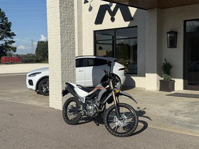 2024 HONDA CRF300L 