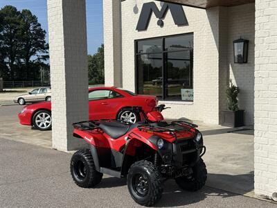 2024 Kawasaki Brute Force 300