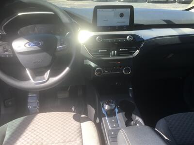 2020 Ford Escape SE - Photo 10 - Cottonwood, AZ 86326