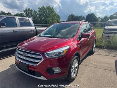 2017 Ford Escape SE   - Photo 1 - Clio, MI 48420
