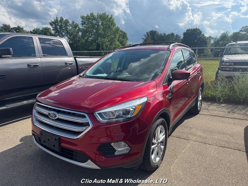 2017 Ford Escape SE - Photo 1 - Clio, MI 48420