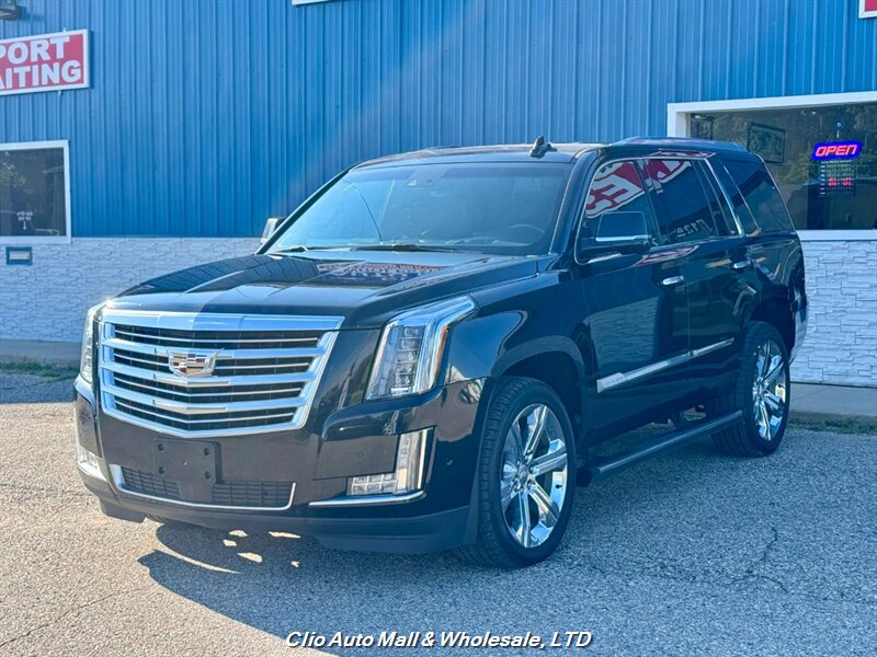 2017 Cadillac Escalade Platinum 4WD - Photo 1 - Clio, MI 48420