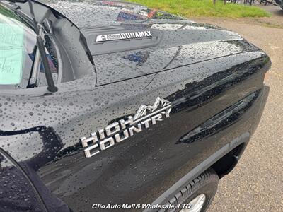 2022 Chevrolet Silverado 3500HD High Country   - Photo 14 - Clio, MI 48420
