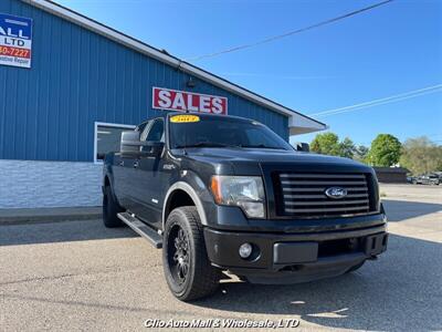 2012 Ford F-150 FX4   - Photo 16 - Clio, MI 48420