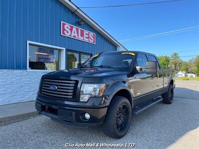 2012 Ford F-150 FX4   - Photo 1 - Clio, MI 48420