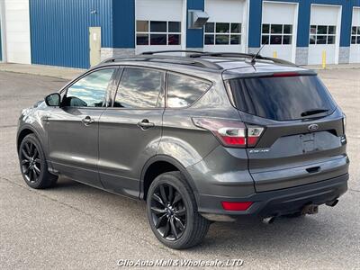 2017 Ford Escape SE   - Photo 3 - Clio, MI 48420