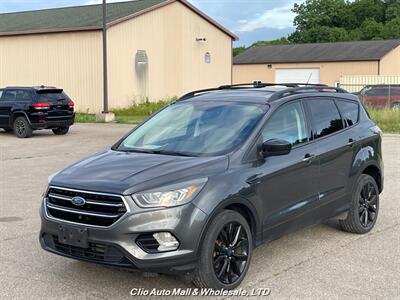 2017 Ford Escape SE   - Photo 2 - Clio, MI 48420