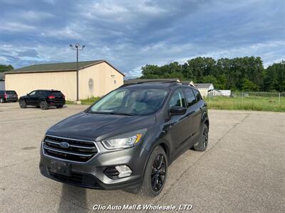 2017 Ford Escape SE   - Photo 8 - Clio, MI 48420