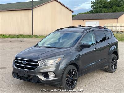 2017 Ford Escape SE   - Photo 40 - Clio, MI 48420