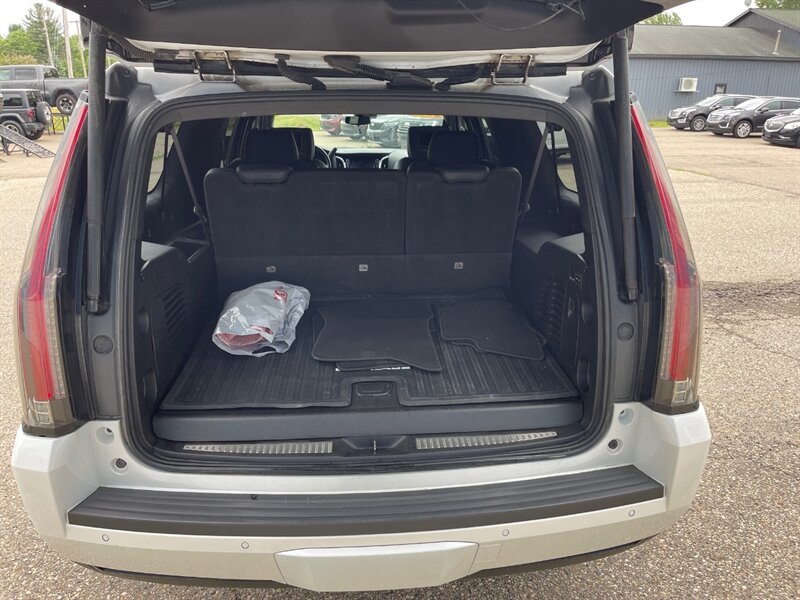 2018 Cadillac Escalade ESV Platinum - Photo 6 - Clio, MI 48420