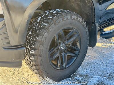 2019 Chevrolet Silverado 1500 Custom Trail Boss   - Photo 10 - Clio, MI 48420