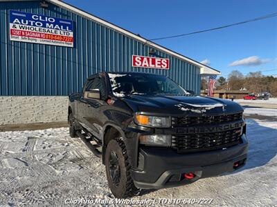 2019 Chevrolet Silverado 1500 Custom Trail Boss   - Photo 2 - Clio, MI 48420