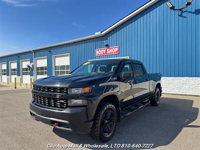 2019 Chevrolet Silverado 1500 Custom Trail Boss   - Photo 1 - Clio, MI 48420