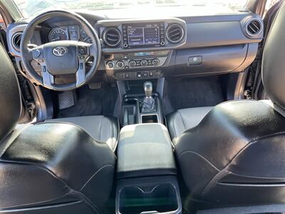 2023 Toyota Tacoma TRD Sport   - Photo 9 - Phoenix, AZ 85009