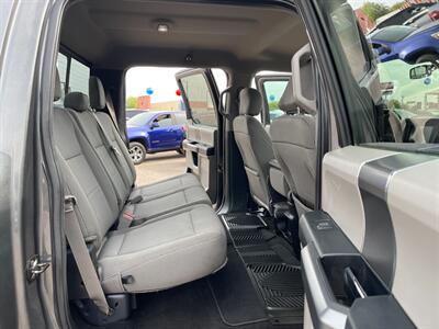 2019 Ford F-150 XL   - Photo 7 - Phoenix, AZ 85009