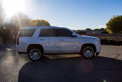 2016 Cadillac Escalade Platinum Edition   - Photo 2 - Albuquerque, NM 87114